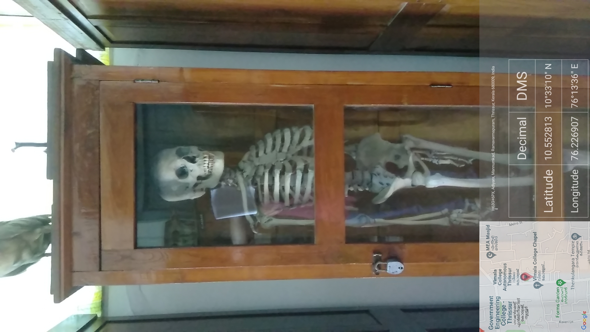 Zoology Museum
